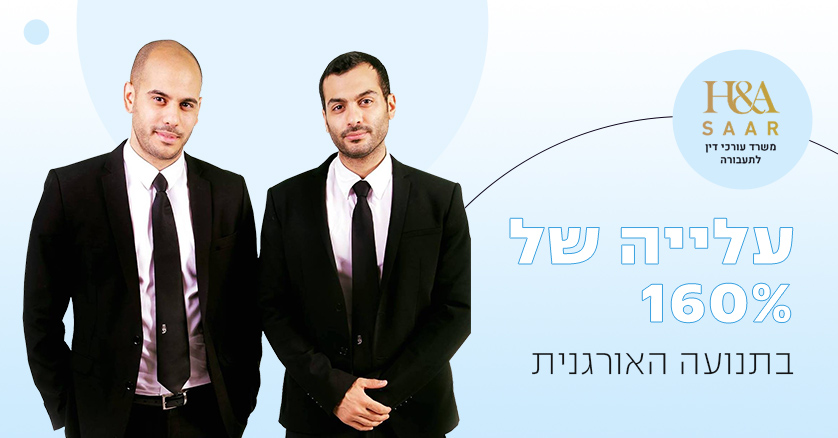 כך הבאנו לעלייה של 124% בתנועה האורגנית תוך שנה לצד עלייה של 200% בביטויים המקודמים באתר.